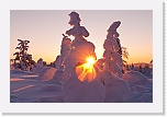 aurinko ja lumiP1120841 * 3678 x 2408 * (1.3MB)